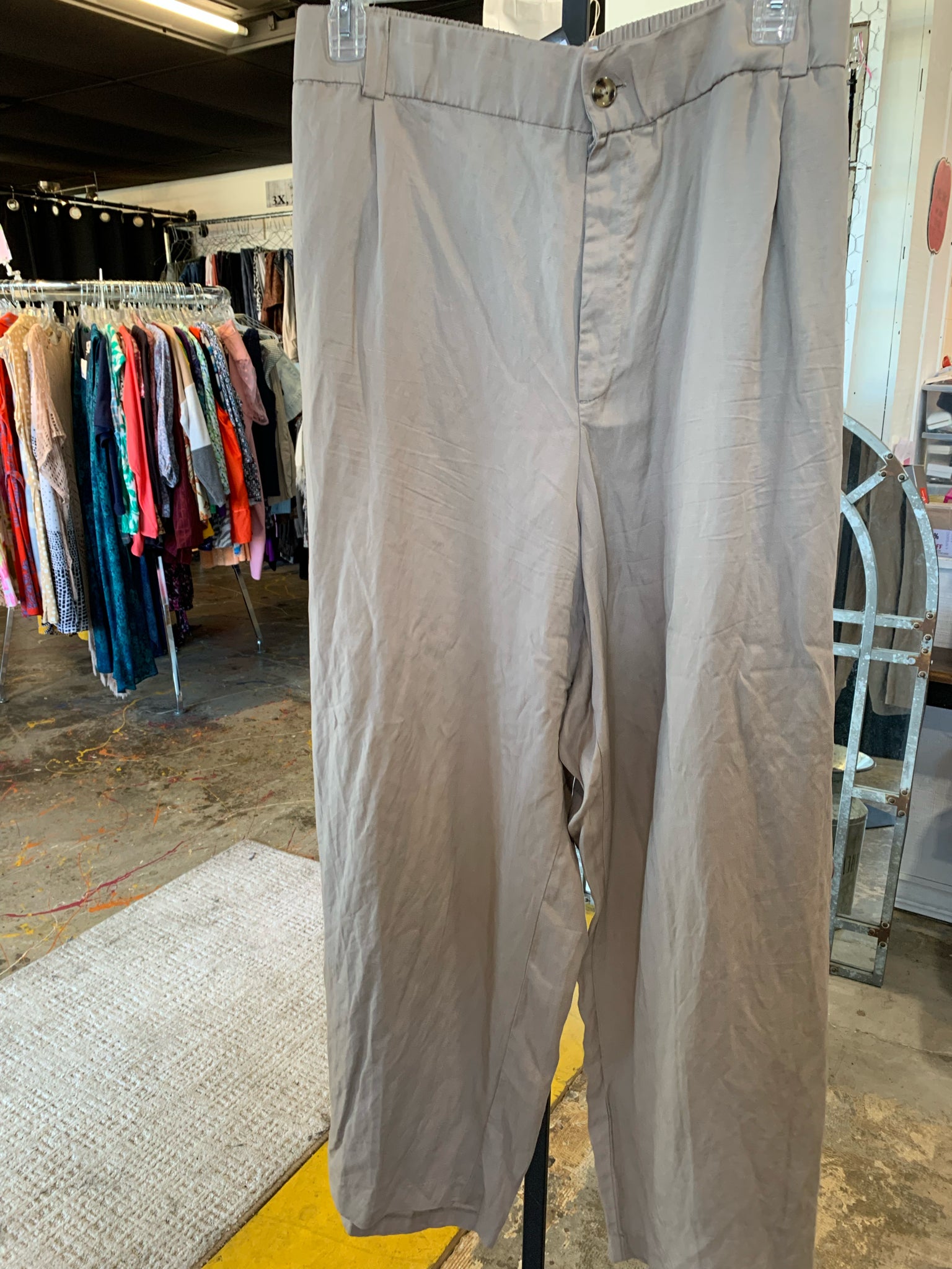 Size 30 torrid Pants